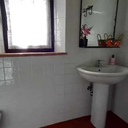 2girasoli Piano Terra * Pucciarelli